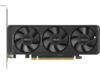 Asus GeForce RTX 5060 LP BRK OC Grafikkort