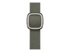 Apple Watch 42mm Modern Buckle (sage gray) Rem