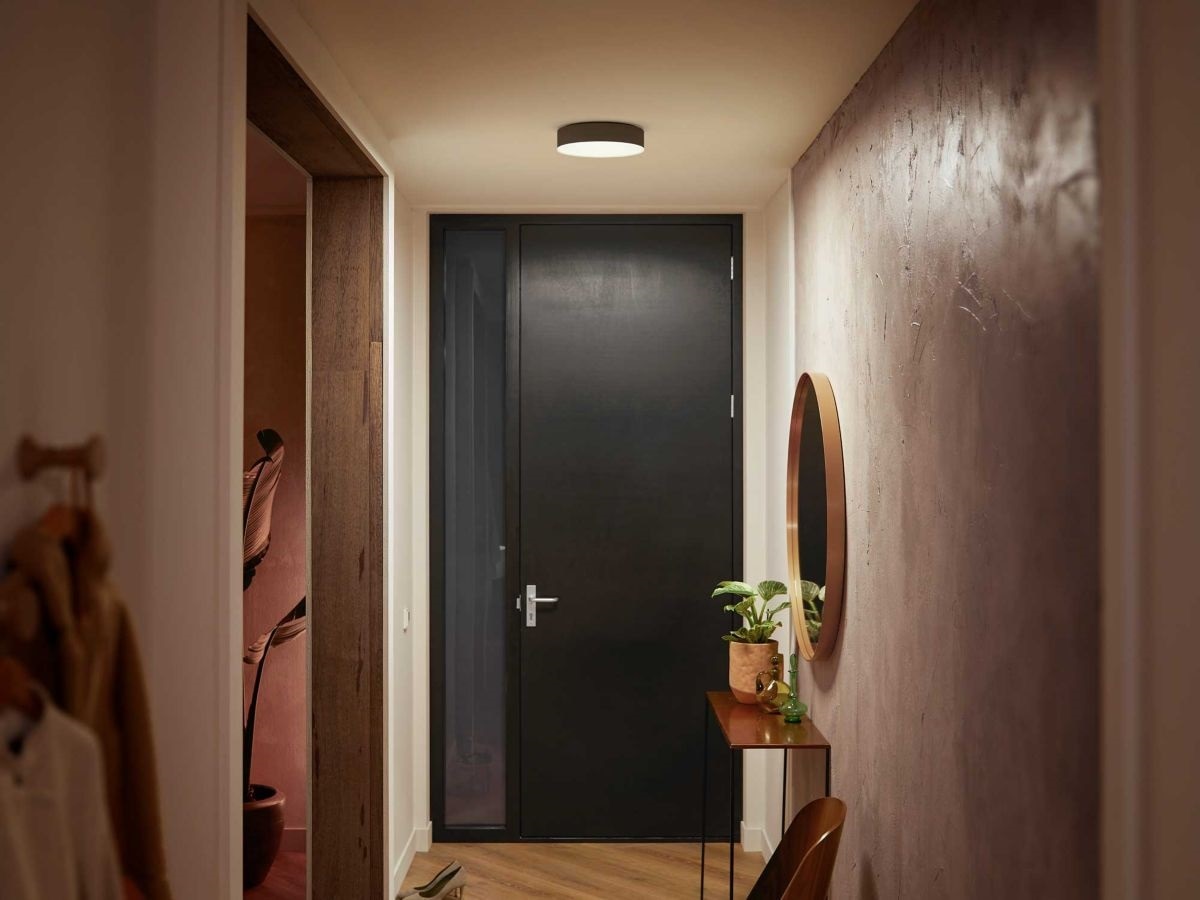 Philips Hue Enrave lille loftslampe (sort) Loftlampe