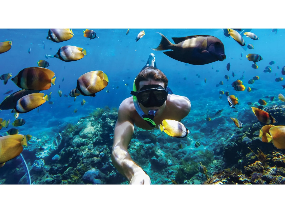 GoPro HERO11 Black Mini Protective Dive Housing Tilbehørssæt til kameraer