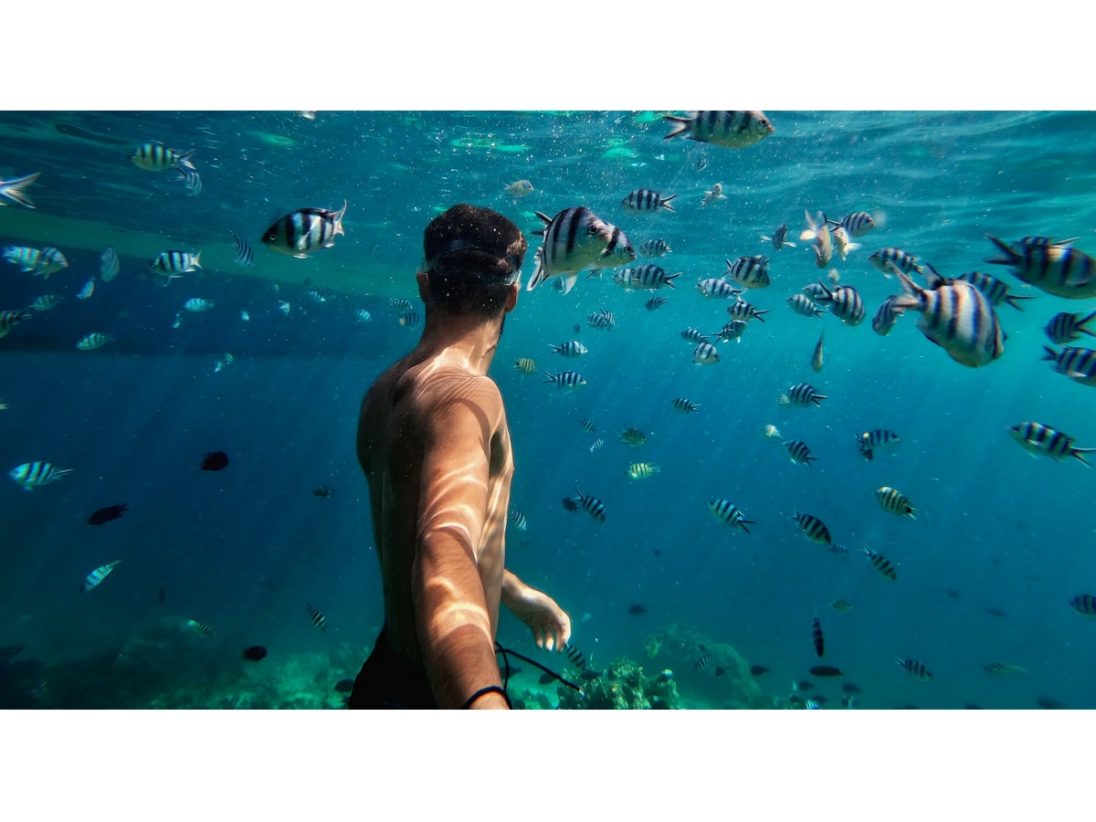 GoPro HERO11 Black Mini Protective Dive Housing Tilbehørssæt til kameraer