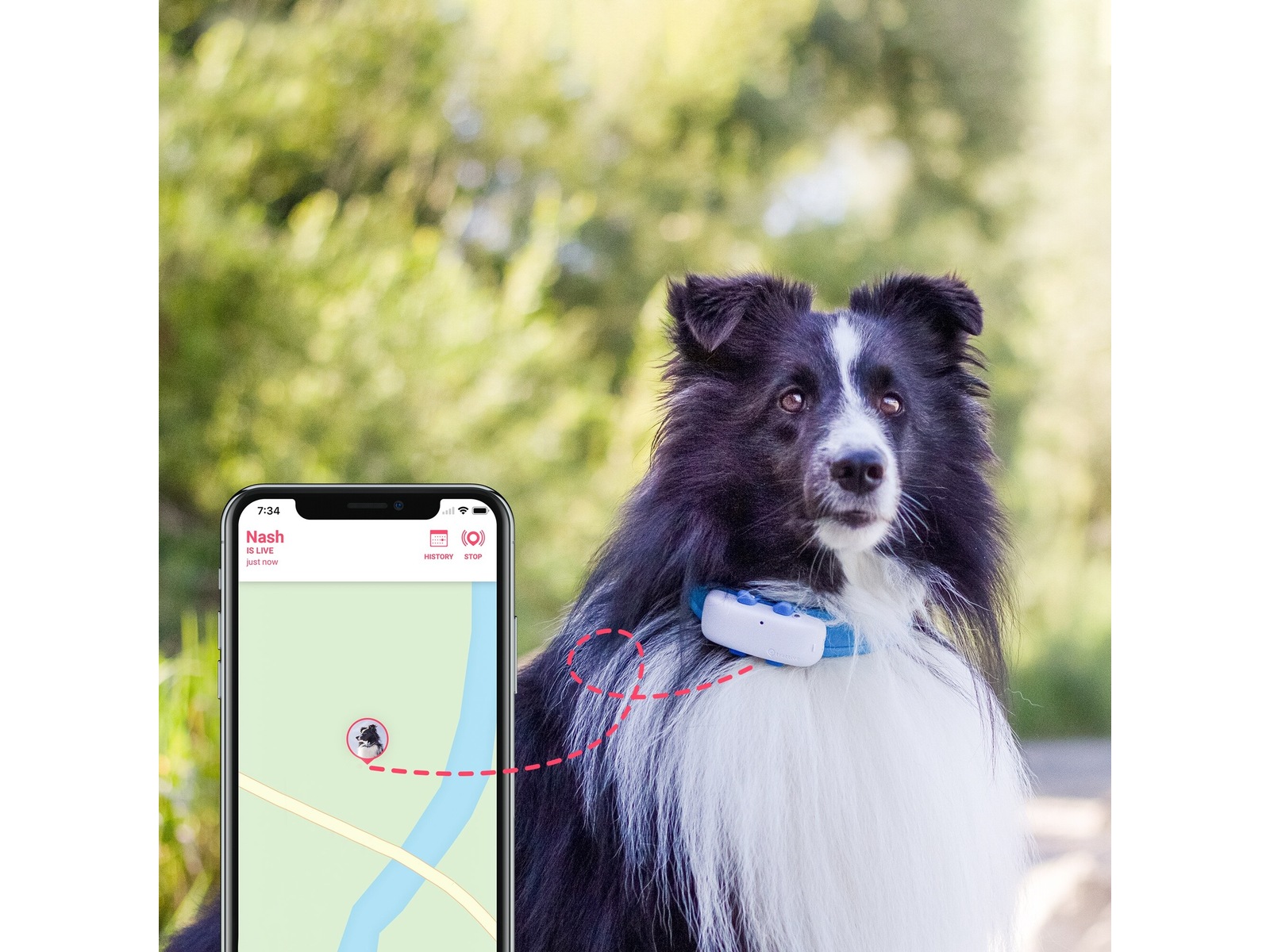 Tractive GPS For Hund GPS og sporing Komplett.dk