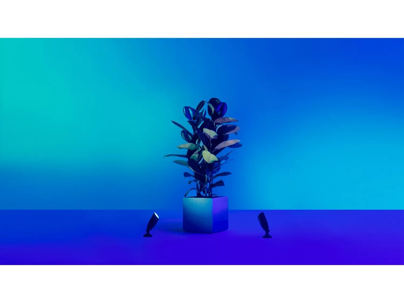 WiZ 12V forlængelse til jordspotlight Gulvlampe