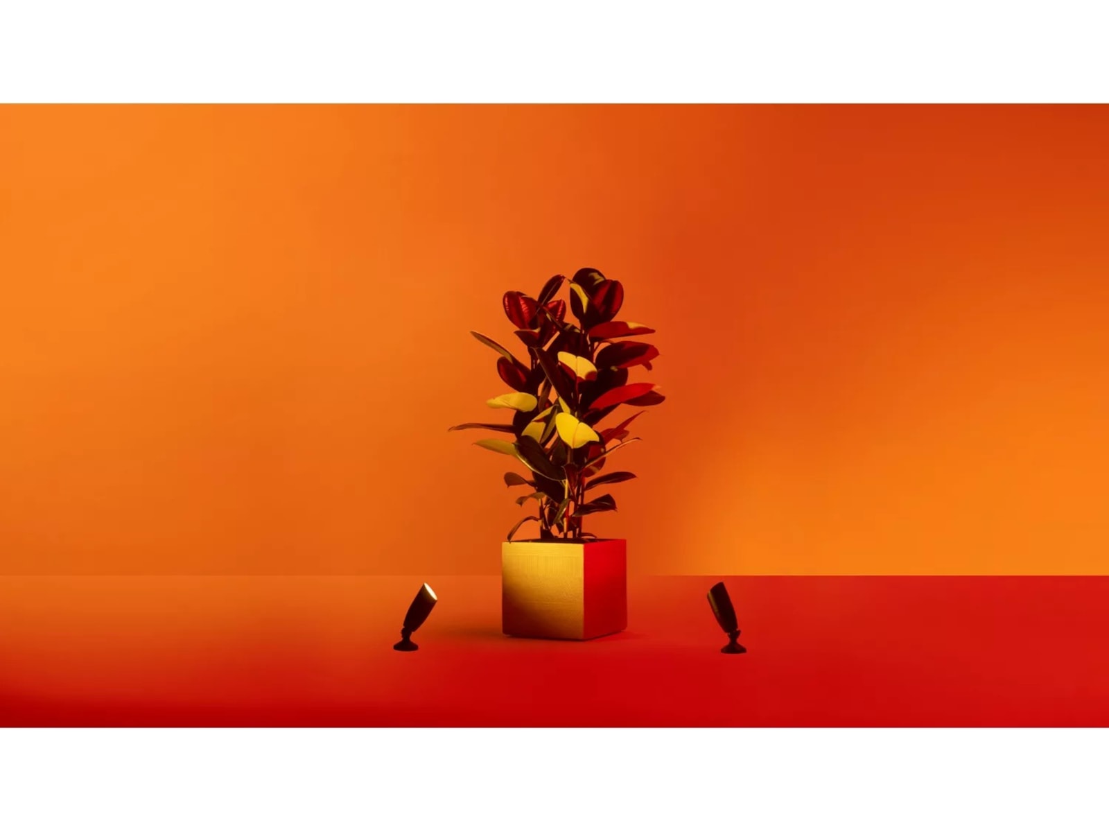 WiZ 12V forlængelse til jordspotlight Gulvlampe