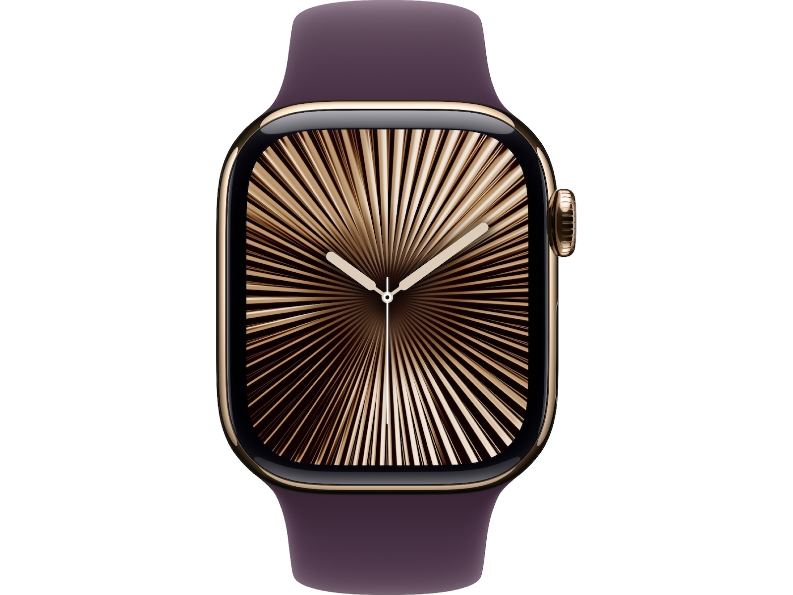 Apple Watch 42mm Sport Band (plum) Rem