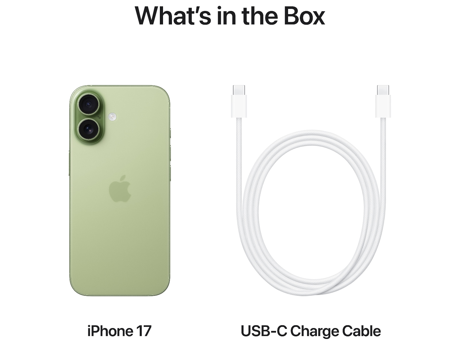 iPhone 17 256GB (salviegrøn) Mobiltelefoner