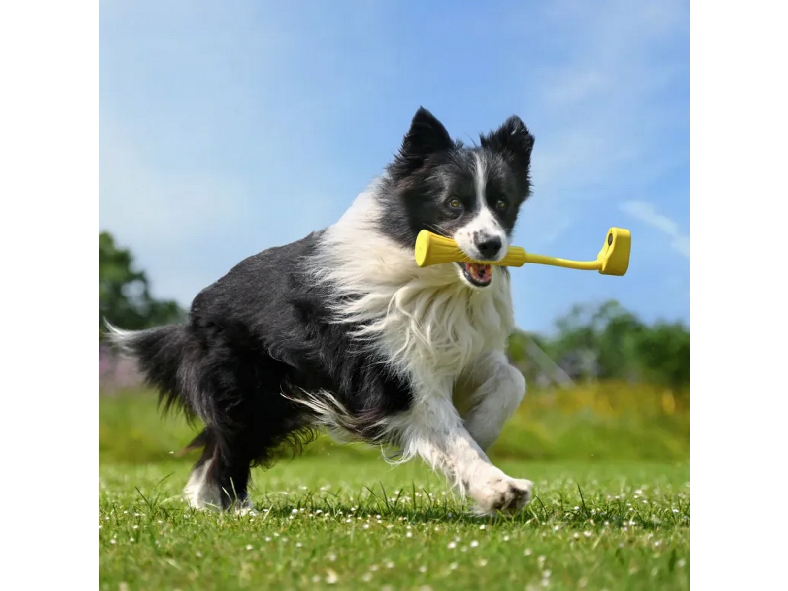 Insta360 GO 3 Fetch Stick Kamera – håndtag