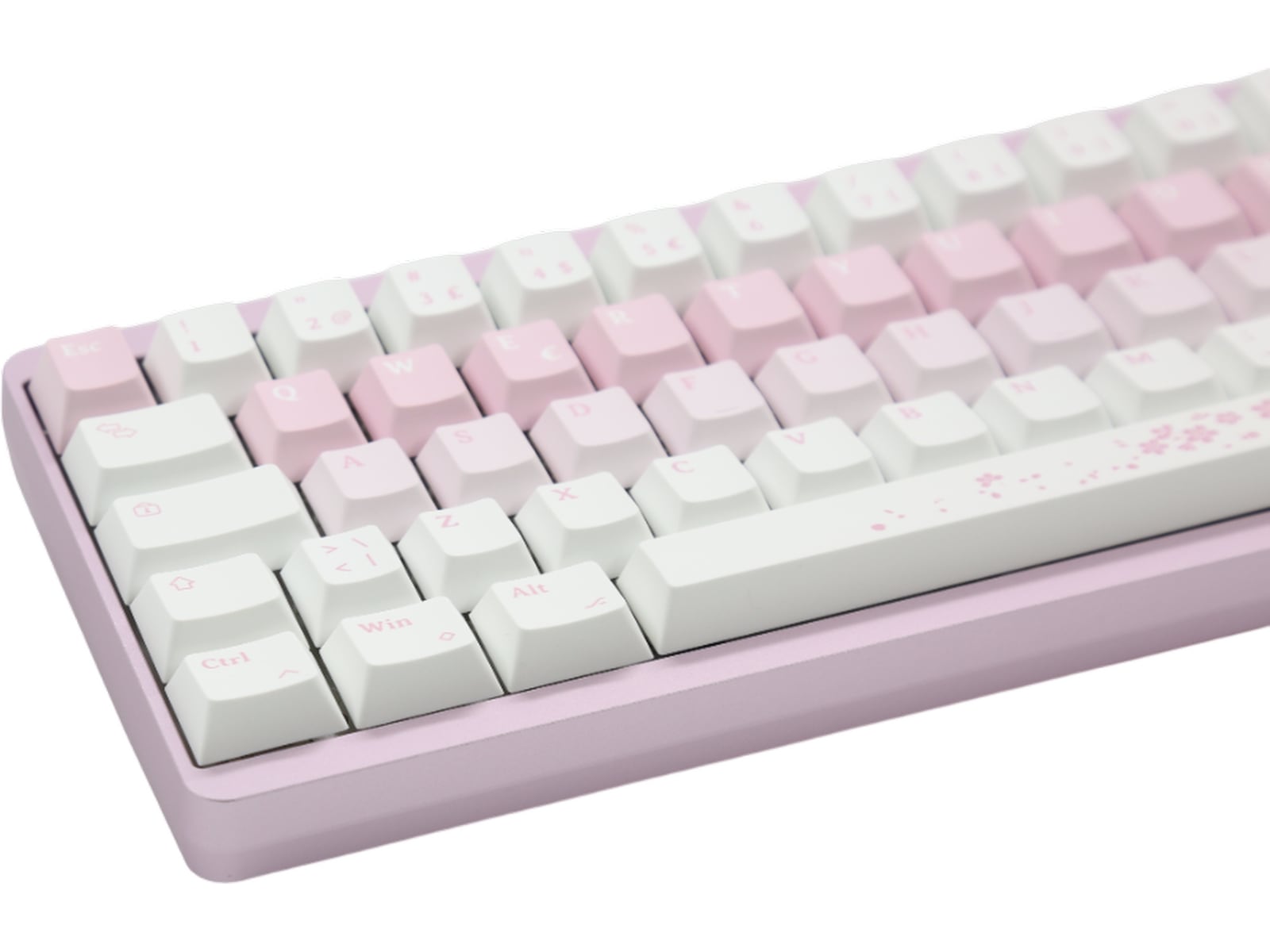 Varmilo Muse65 HE Sakura 65% Gamingtastatur Gamingkeyboard