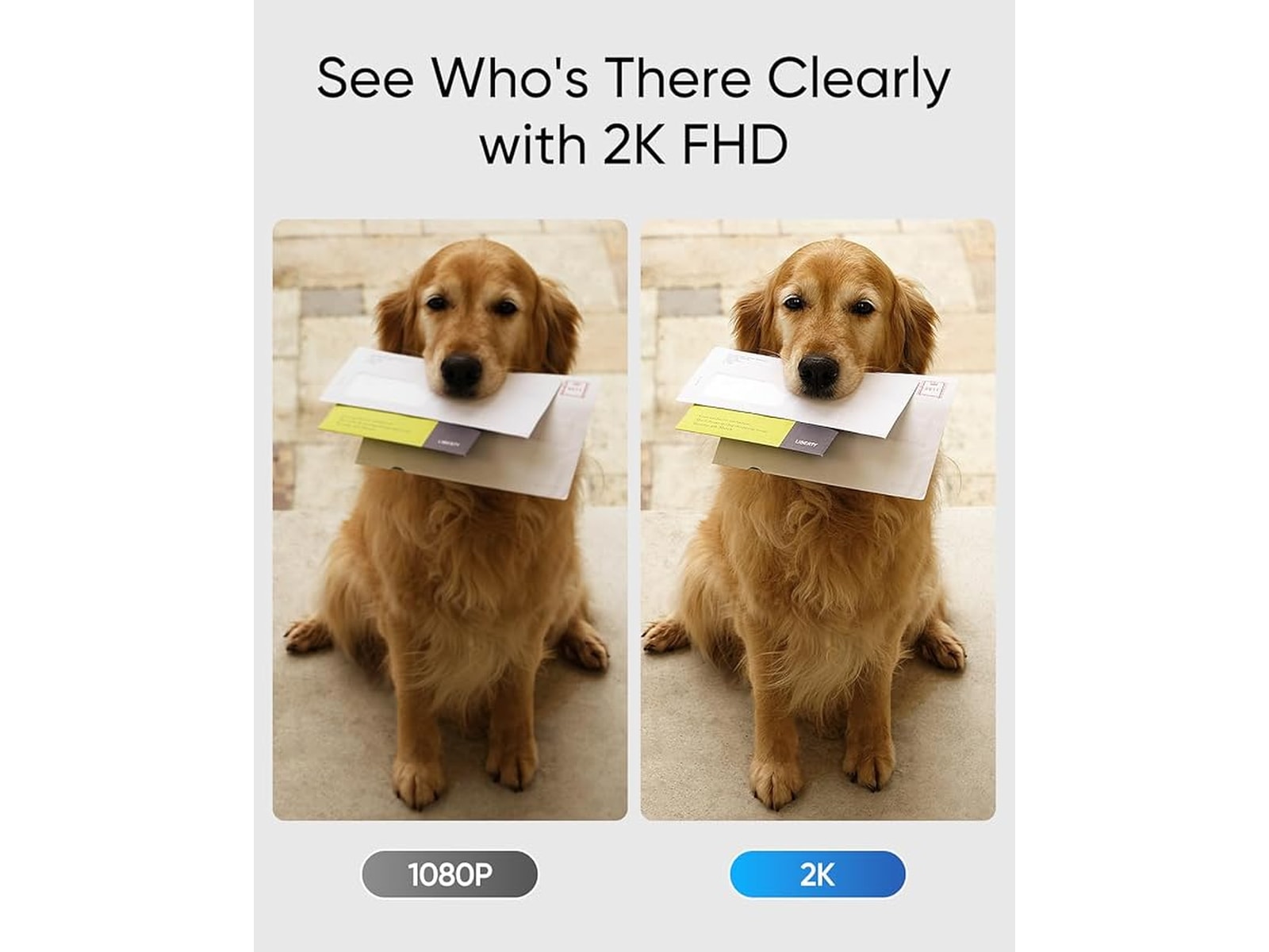 Eufy Video Doorbell C30 Dørklokker