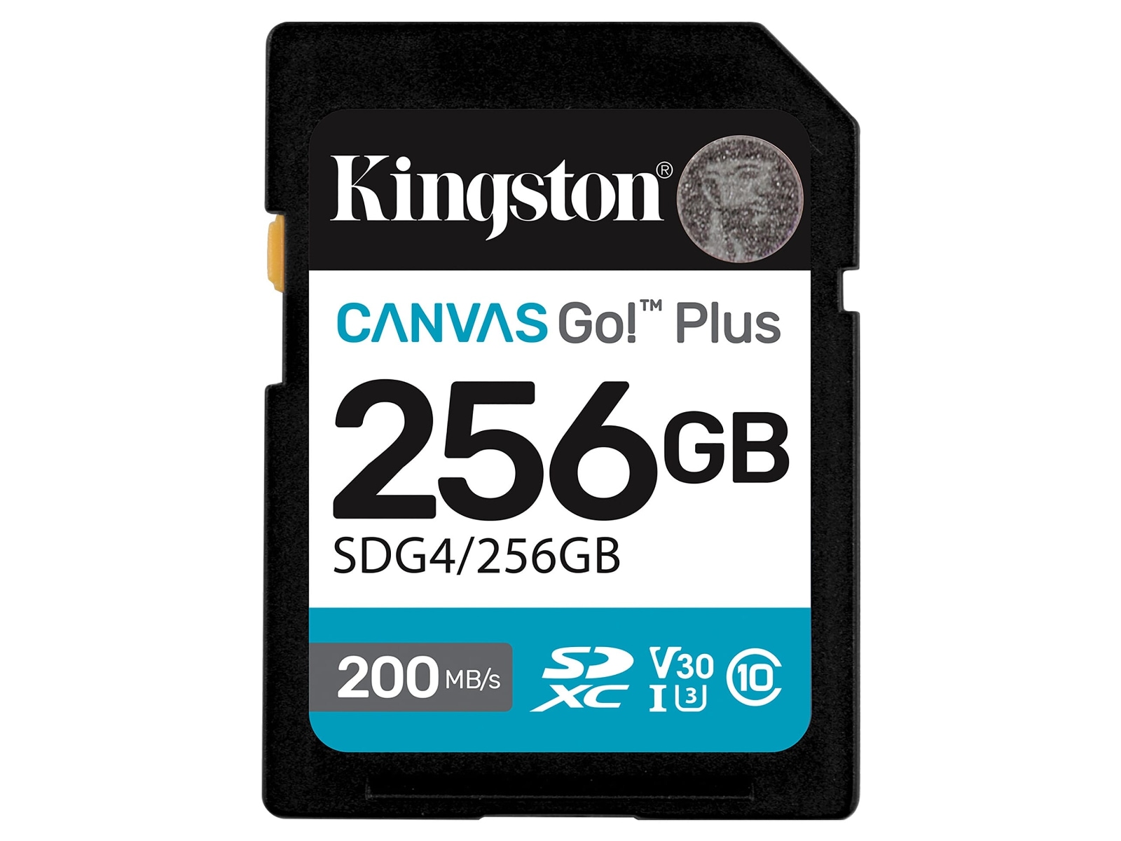Kingston Canvas Go! Plus SDXC 256GB Flash-hukommelse
