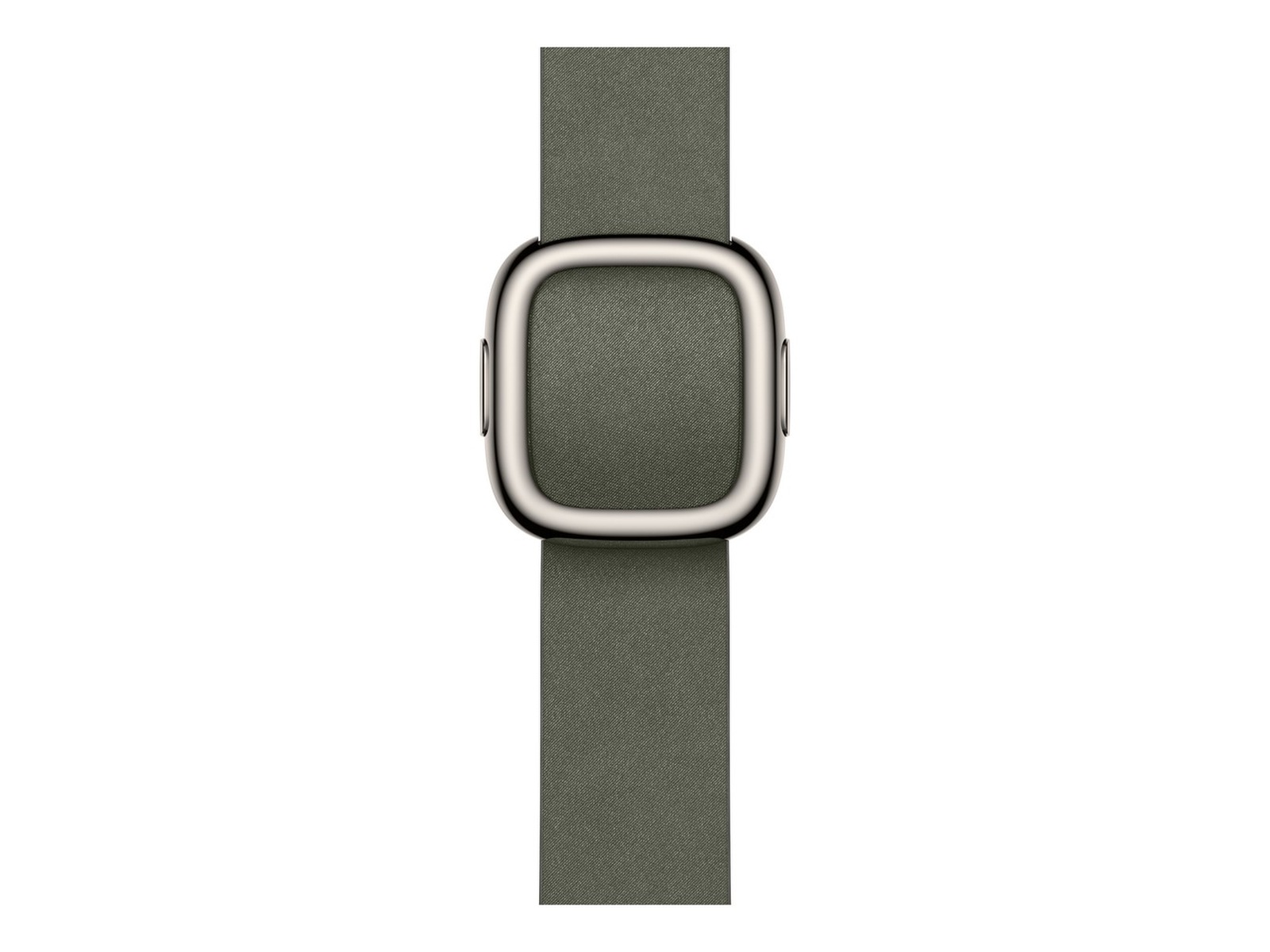 Apple Watch 42mm Modern Buckle (sage gray) Rem