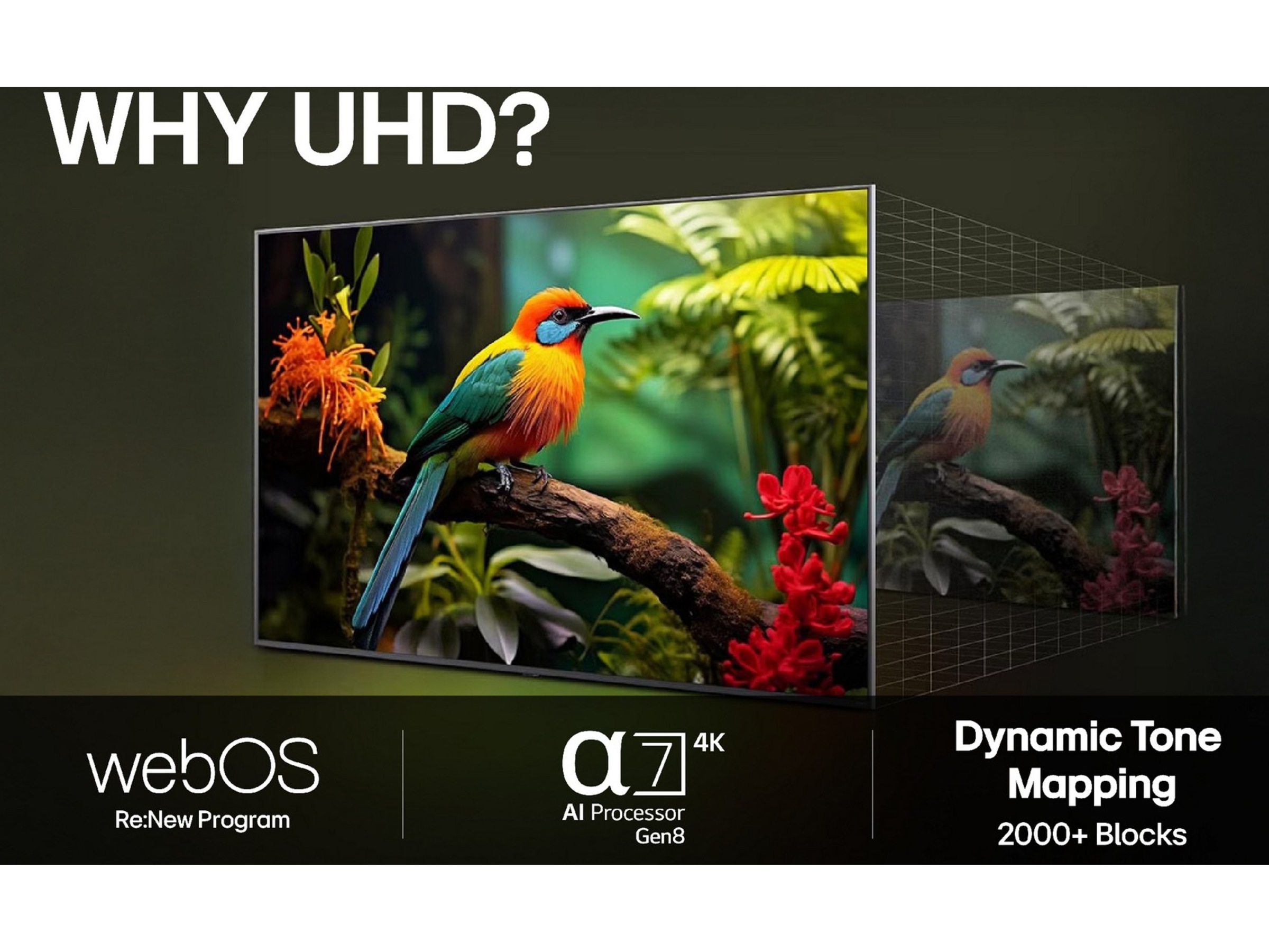 LG 75'' UA75 AI 4k Smart TV (2025) 70 - 79 tommer TV