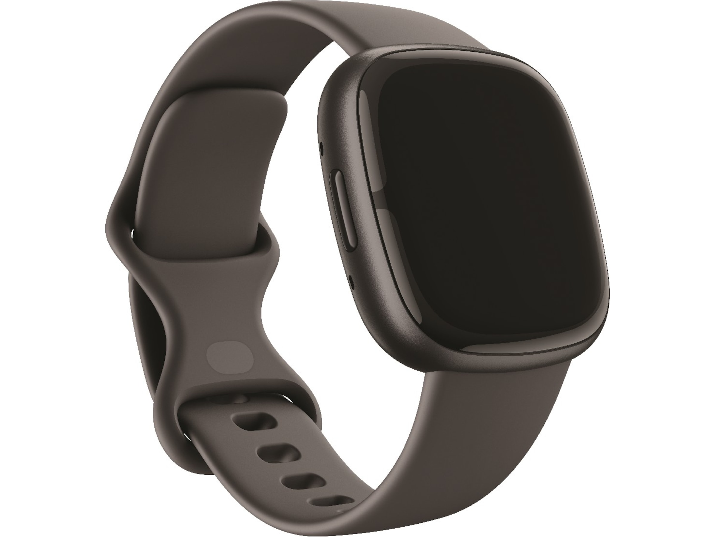 Fitbit Sense 2 Shadow (grå/grafitt) Smartwatches