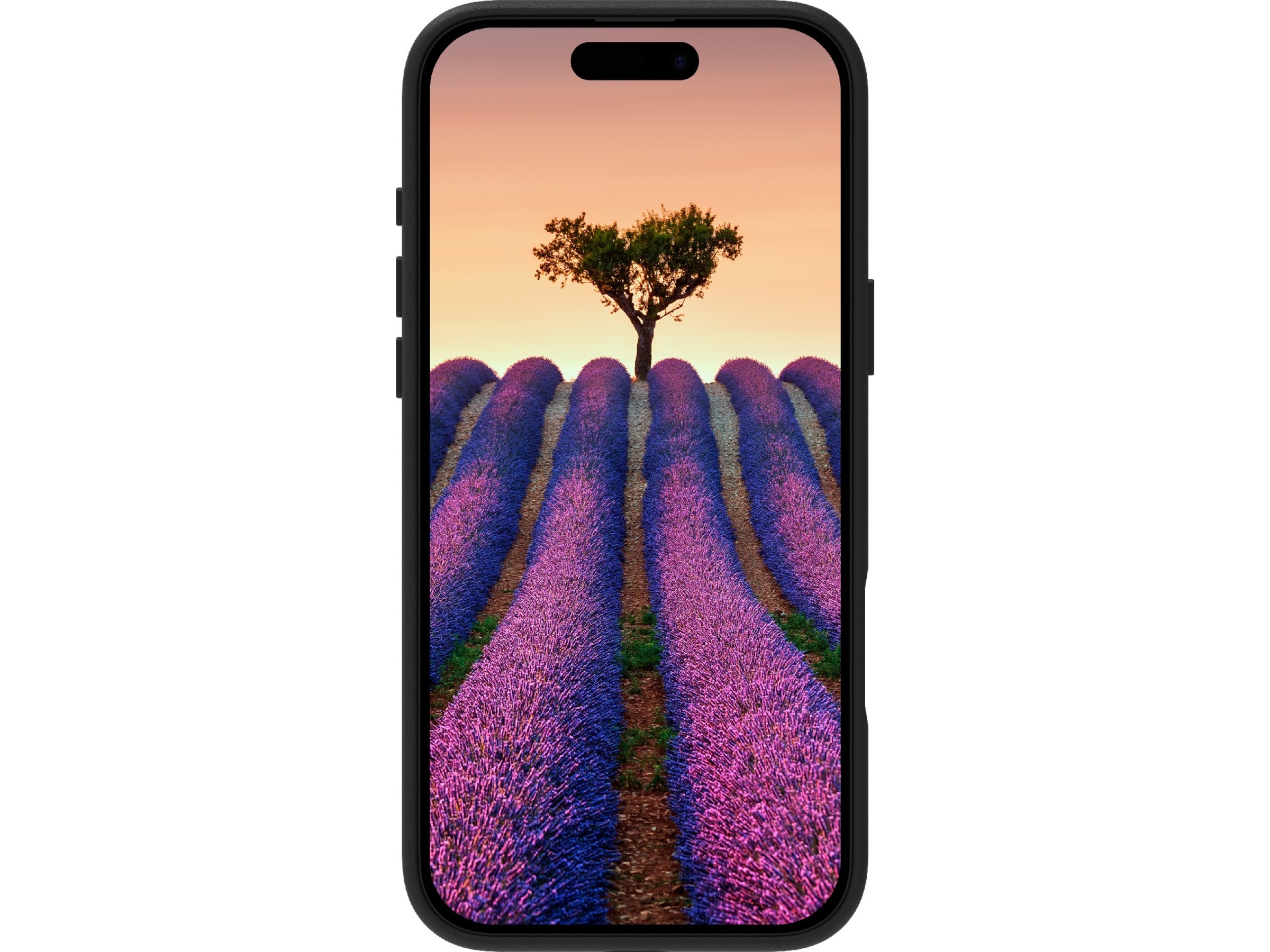 dbramante1928 iPhone 17 Pro Max Roskilde lædercover (sort) Mobilcover