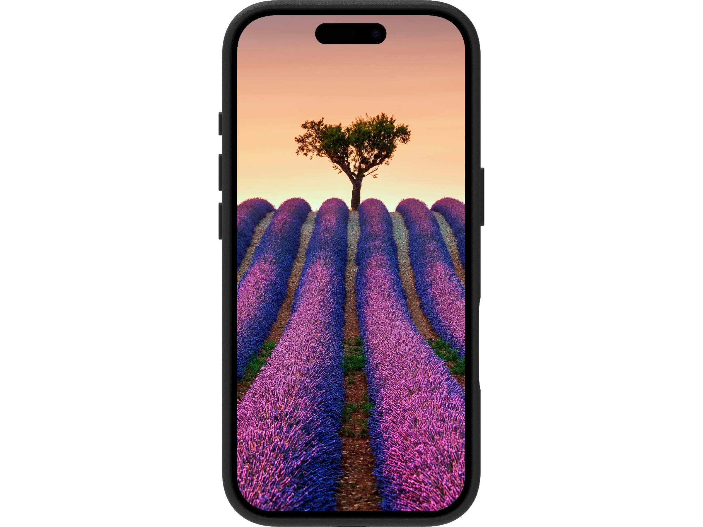 dbramante1928 iPhone 17 Roskilde lædercover (sort) Mobilcover