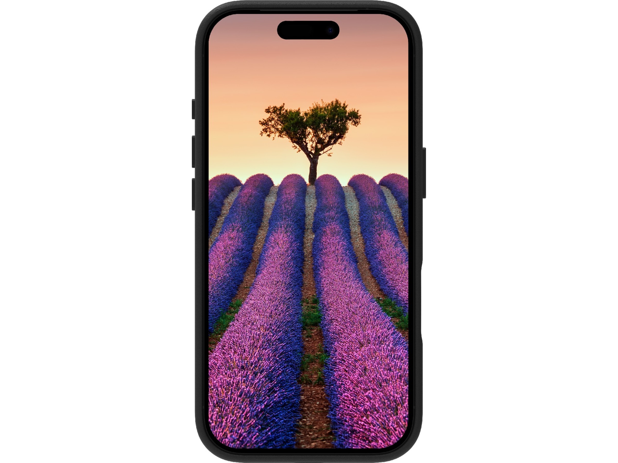 dbramante1928 iPhone 17 Pro Roskilde lædercover (sort) Mobilcover