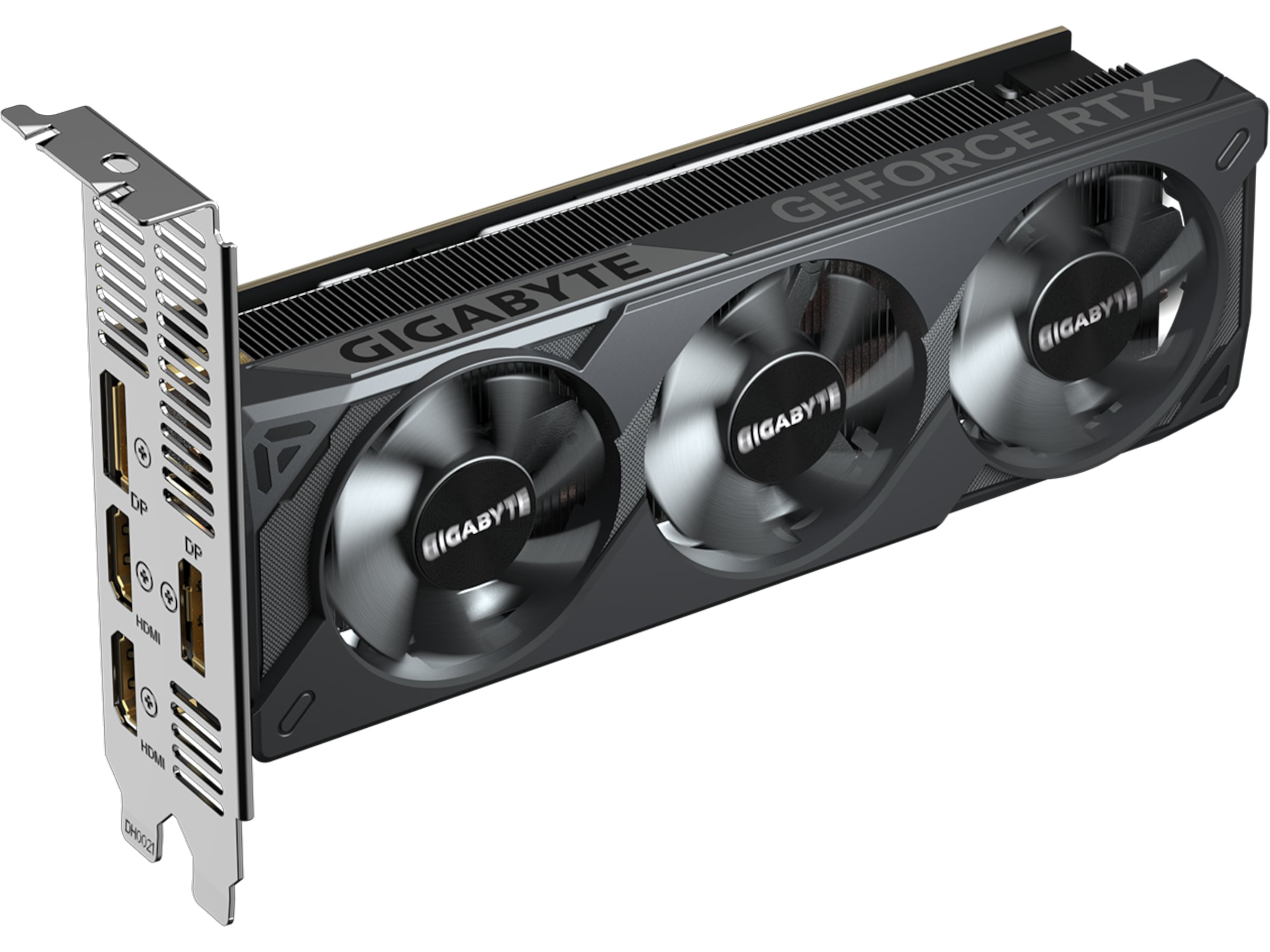 Gigabyte GeForce RTX 5050 OC Low Profile Grafikkort
