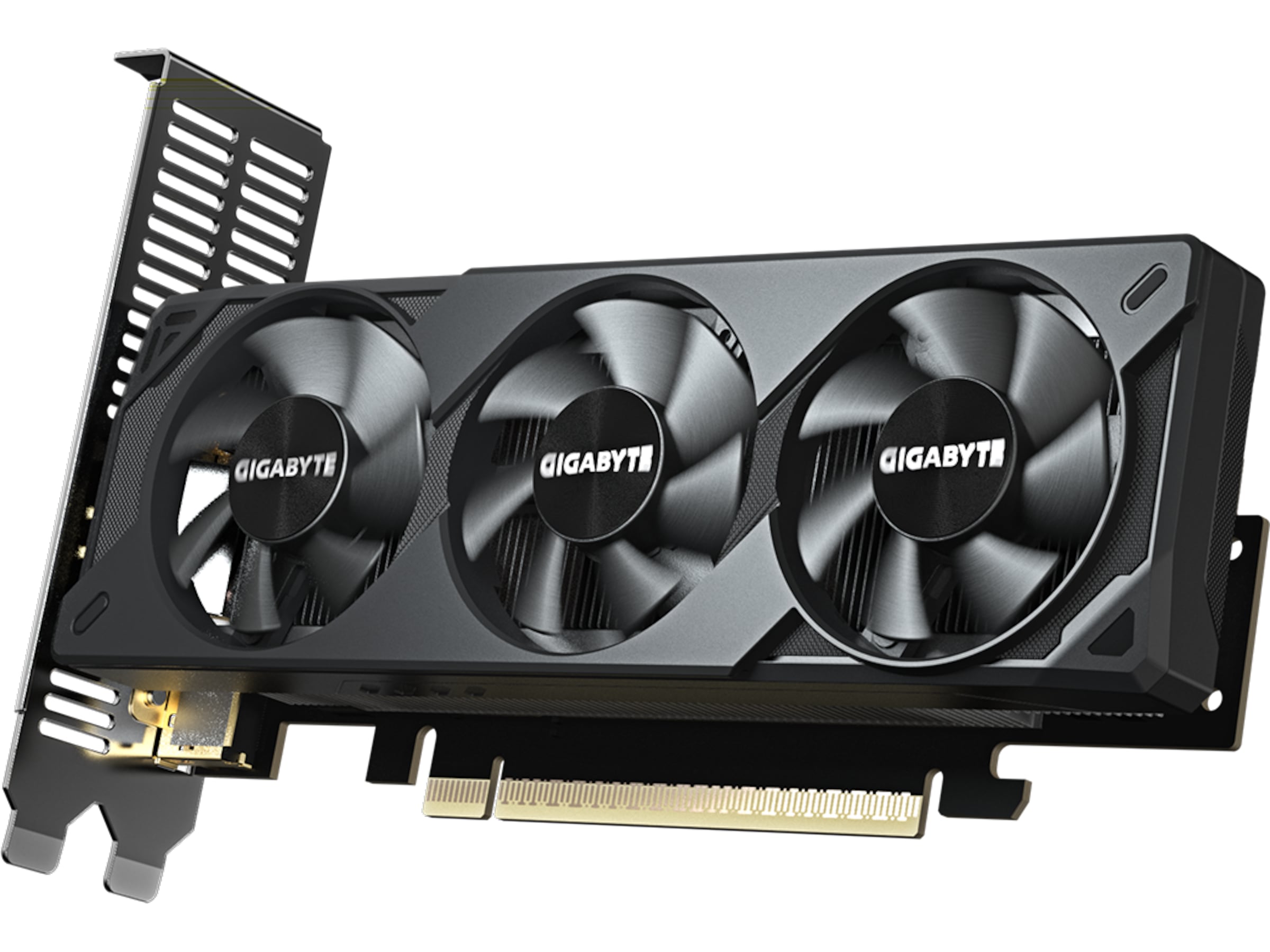 Gigabyte GeForce RTX 5050 OC Low Profile Grafikkort