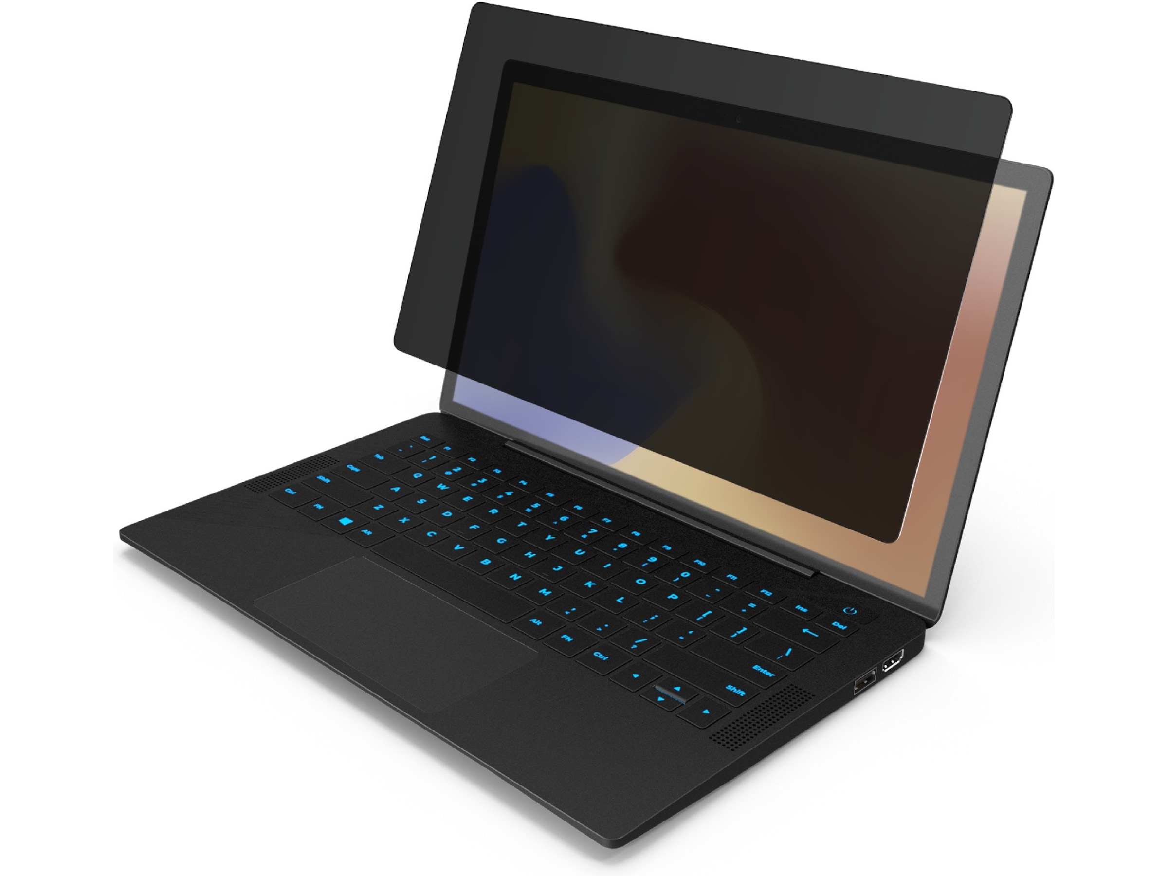 Privacy Filter skærmbeskytter - Zagg Skærmbeskyttelse tablet