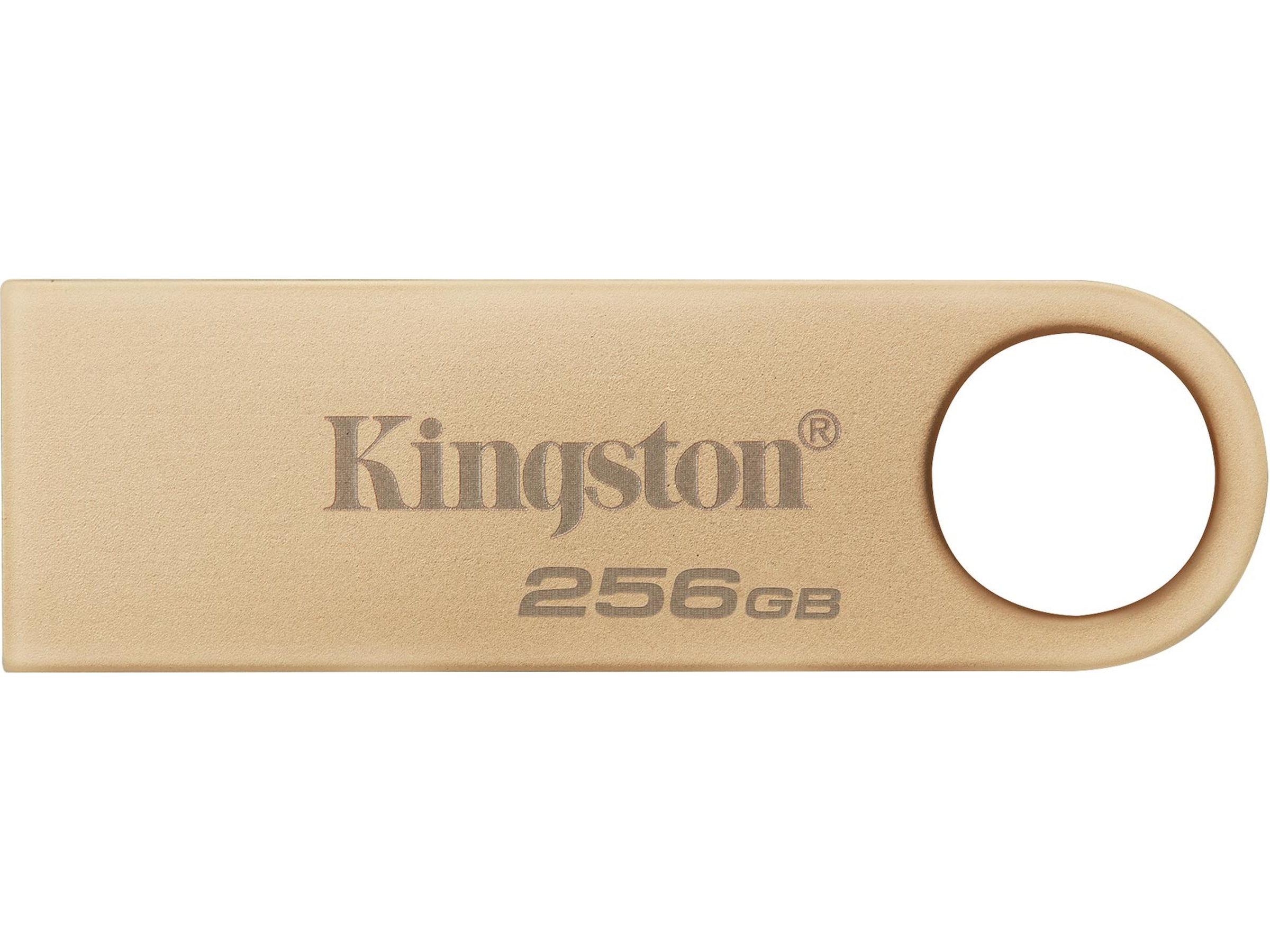 Kingston DataTraveler DTSE9 256GB USB-Hukommelse