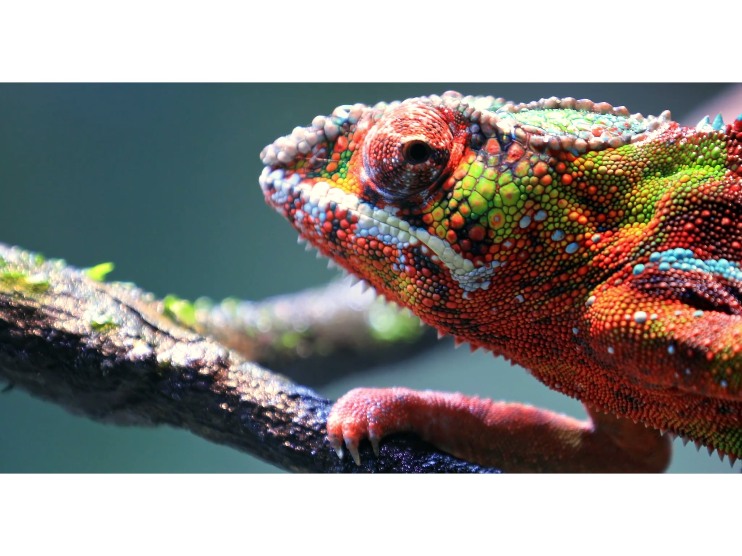 Billedkalibrering - folder TV-rammer & tilbehør