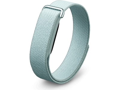 Google Fitbit Air - Fog