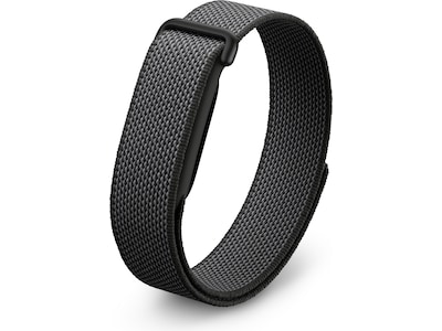 Google FitBit Air
