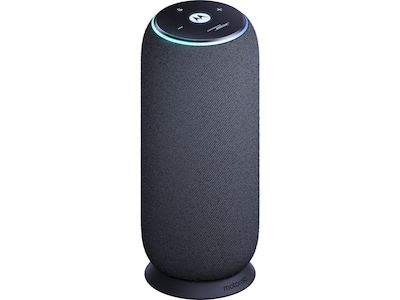 Motorola Moto Sound Flow Bluetooth Højttaler - 30W, 12 Timer, USB-C - Carbon
