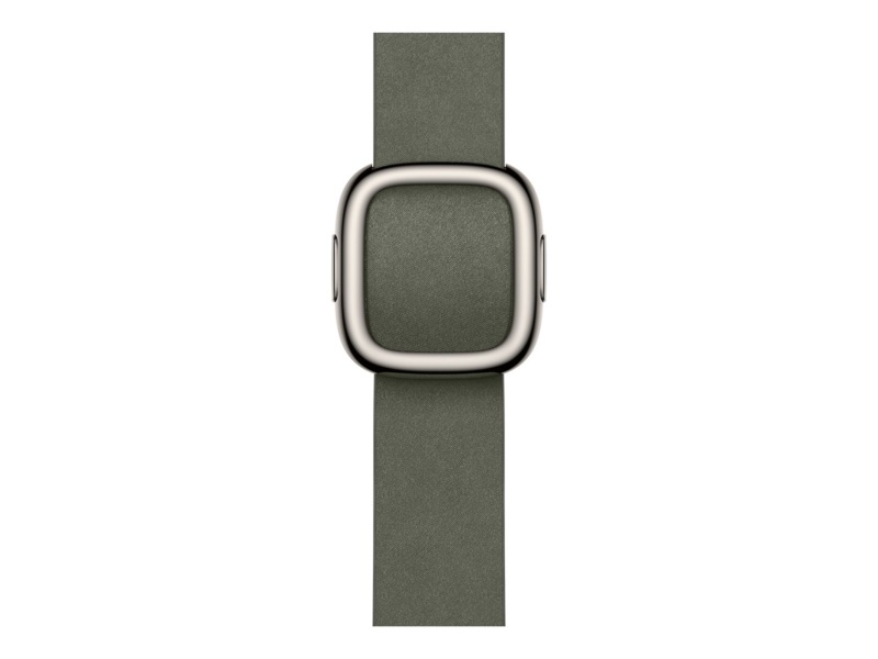 Apple Watch 42mm Modern Buckle (sage gray) Rem