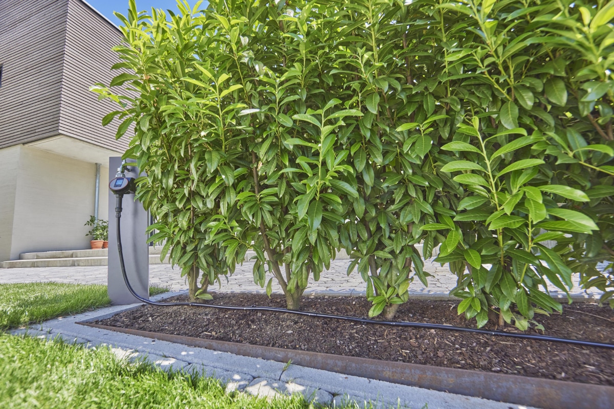 Gardena vanning hekk