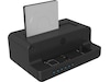 Icy Box IB-2914MSCL-C31 Type-C Dock Dockingstationer