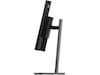 Lenovo 34" skærm ThinkVision P34WD-40 Skærme