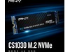 PNY CS1030 M.2 NVMe SSD 250GB SSD M.2