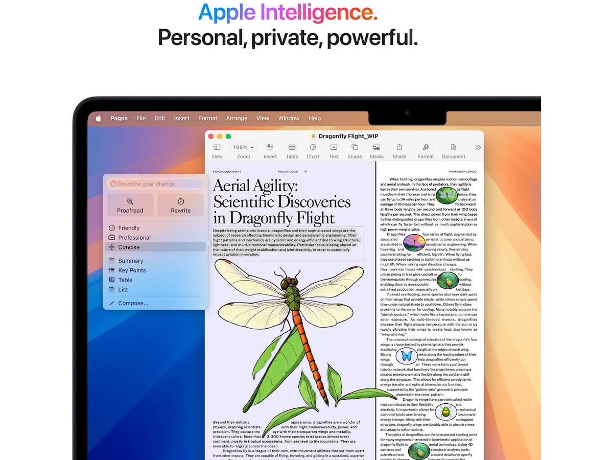 MacBook Air 13" M4 (2025) 512GB (midnat) PC - Bærbar / laptop