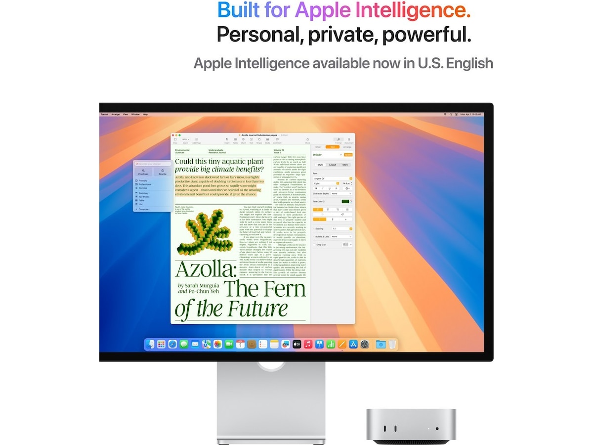 Mac Mini M4 (2024) 256GB Stationær PC