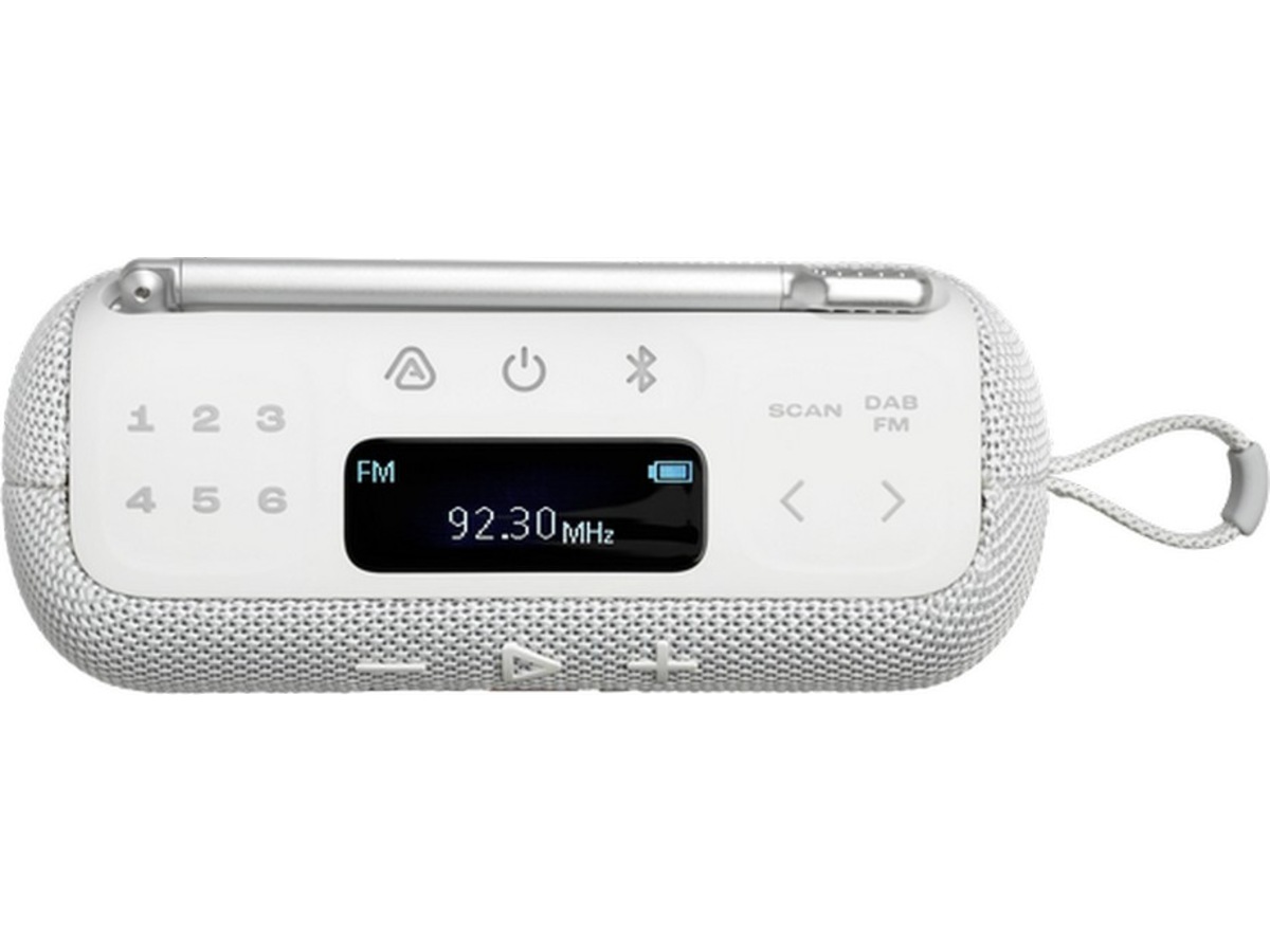 JBL Tuner 3 bærbar DAB/FM radiohøjttaler Radio & musikafspillere