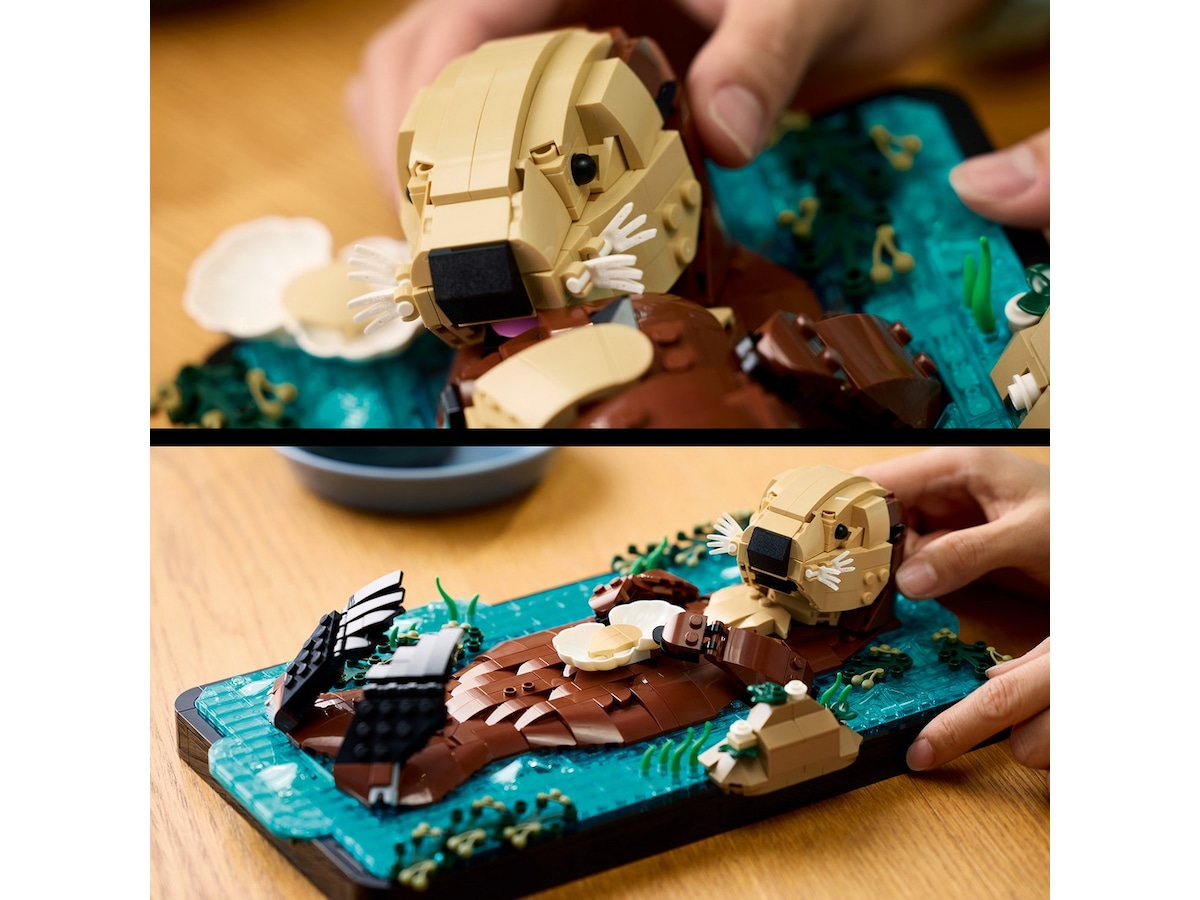 LEGO Ideas Flydende havøgler 21366 LEGO