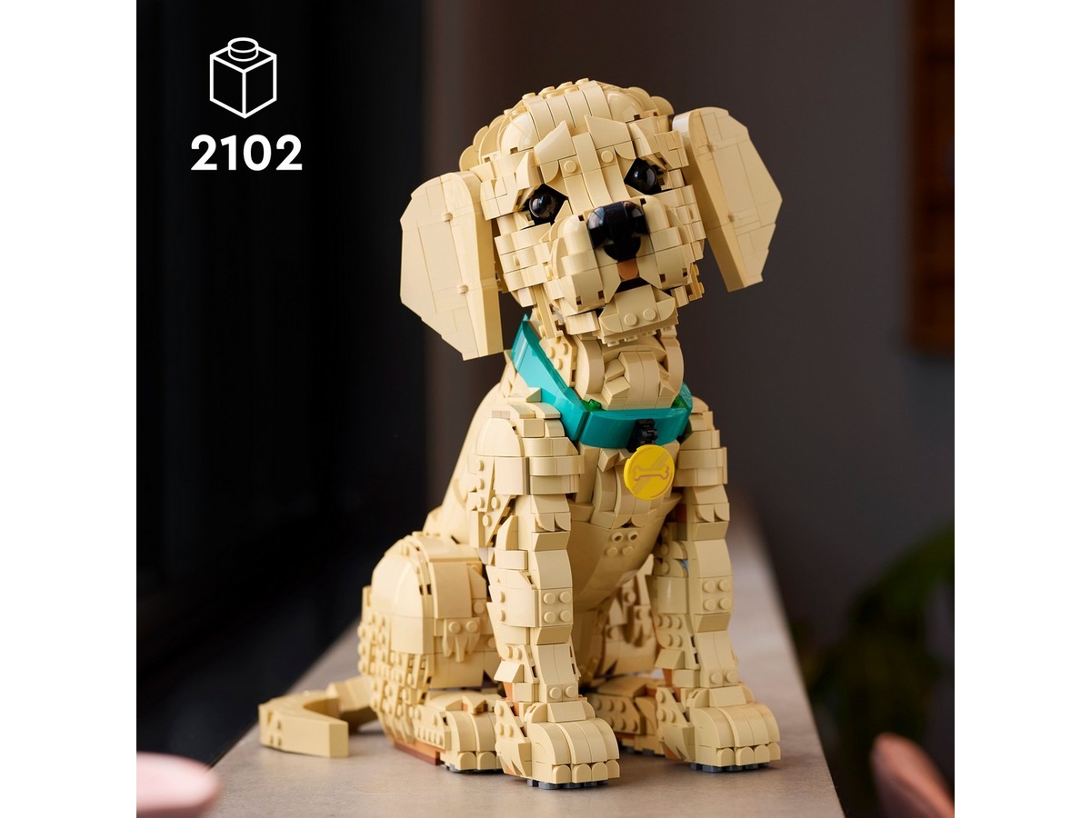 LEGO Icons Golden retriever-hvalp 11384 LEGO
