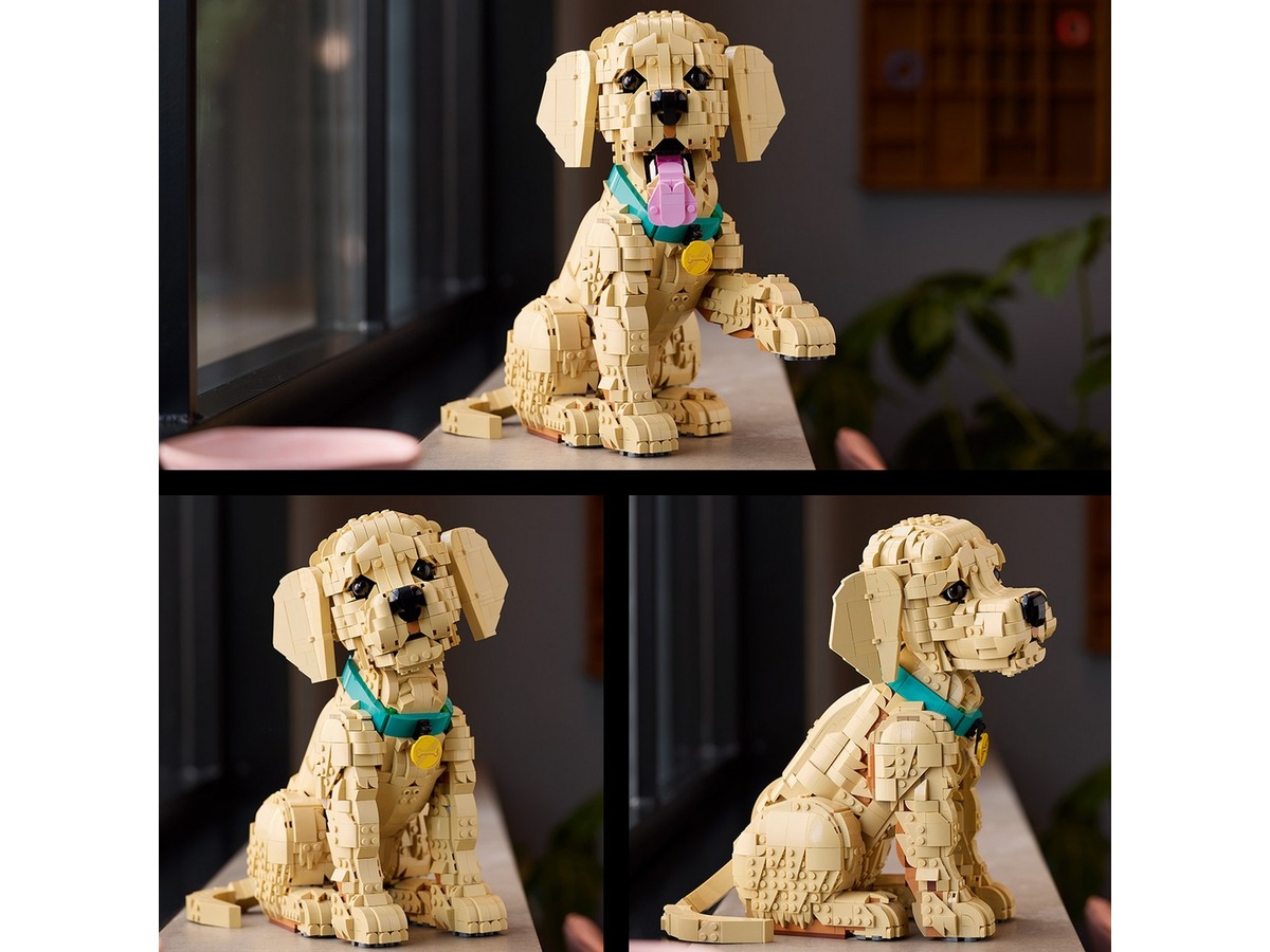 LEGO Icons Golden retriever-hvalp 11384 LEGO