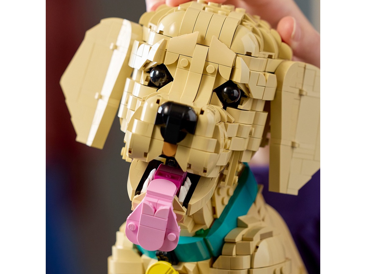 LEGO Icons Golden retriever-hvalp 11384 LEGO