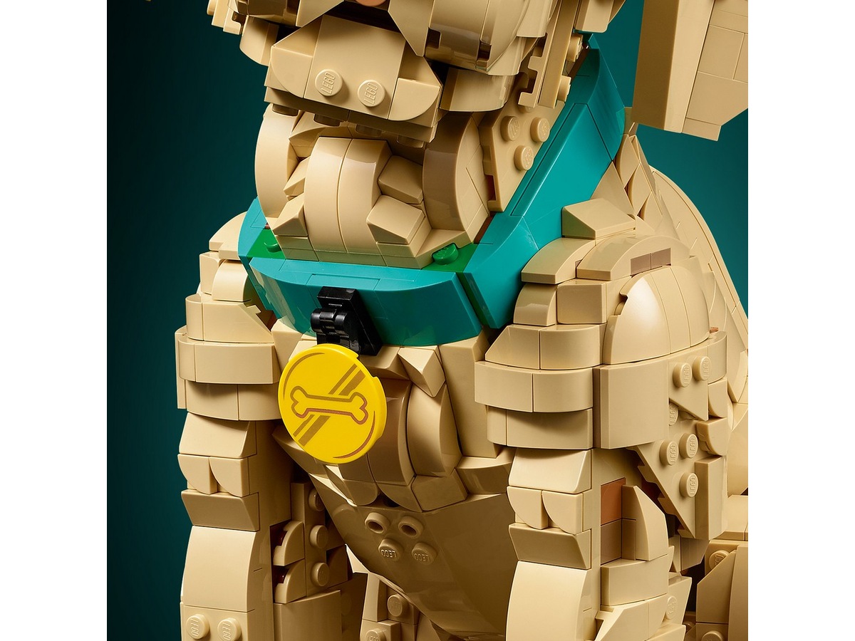 LEGO Icons Golden retriever-hvalp 11384 LEGO