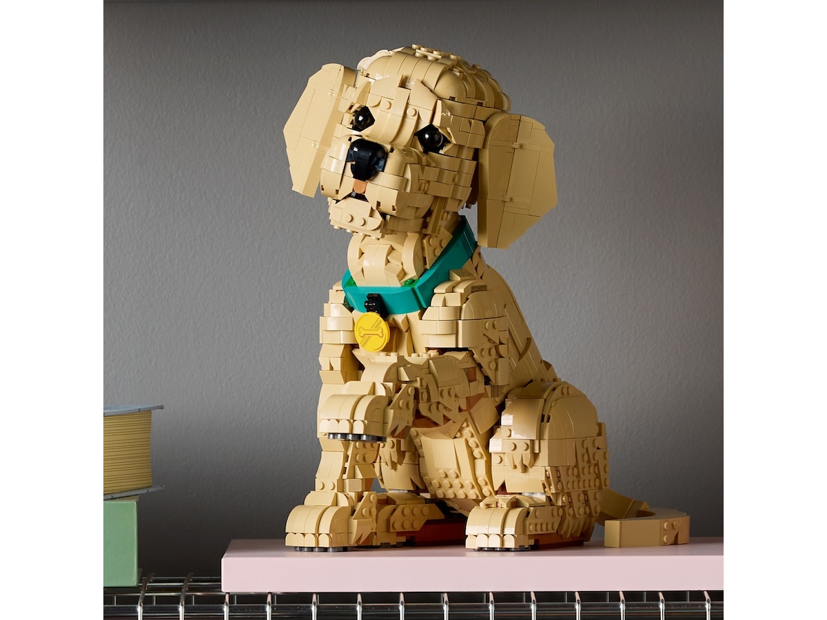 LEGO Icons Golden retriever-hvalp 11384 LEGO