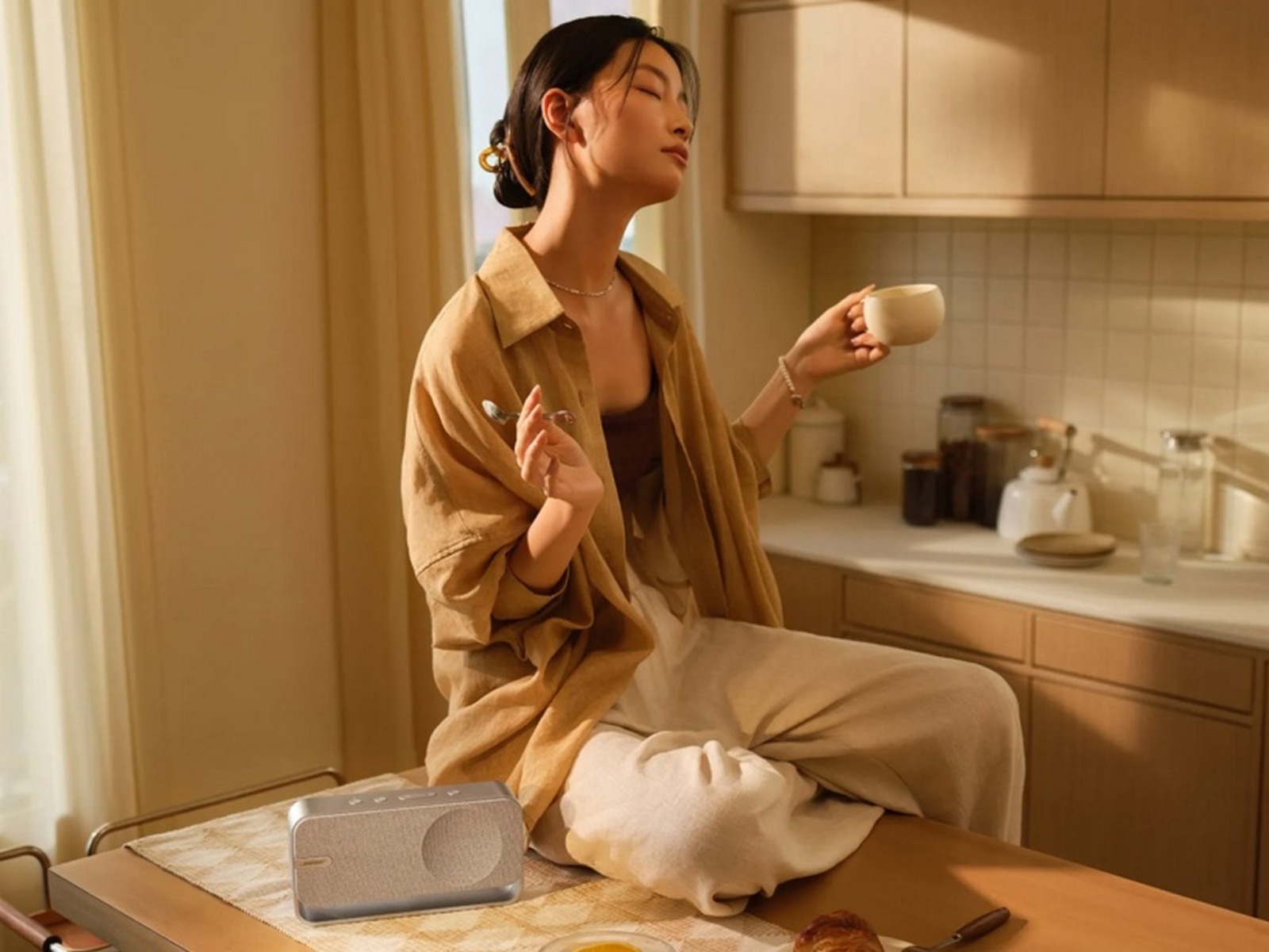 Bose SoundLink Home trådlös Bluetooth-högtalare (ljus silver) Trådløs / Bluetooth højttaler