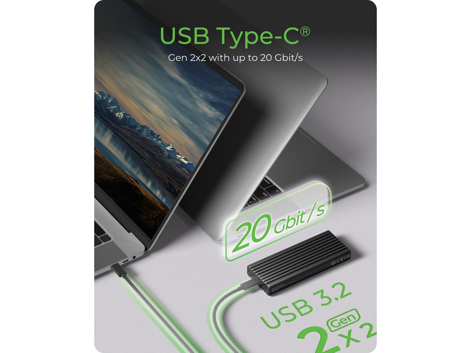 Icy Box M.2 NVMe SSD Kabinet Eksterne Kabinetter