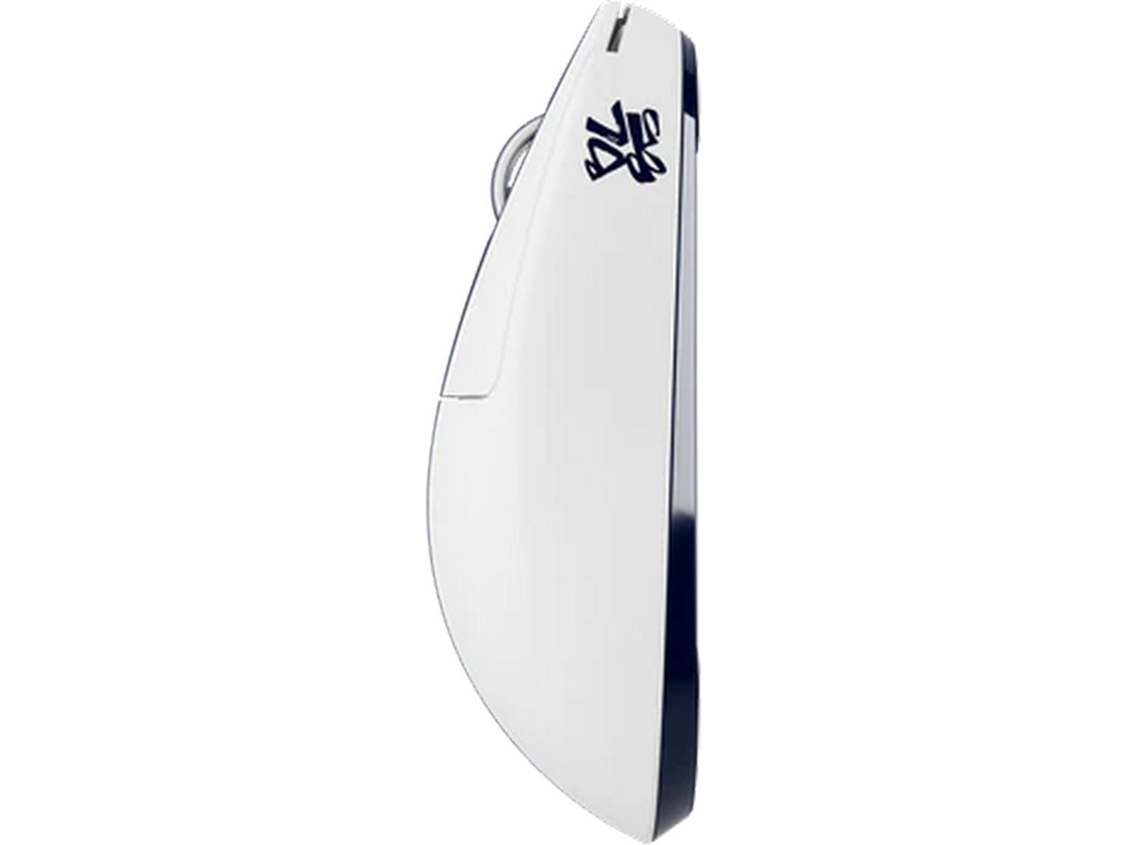 Pulsar X2 CRAZYLIGHT gamingmus medium Bruce Lee 85 Edition Gamingmus