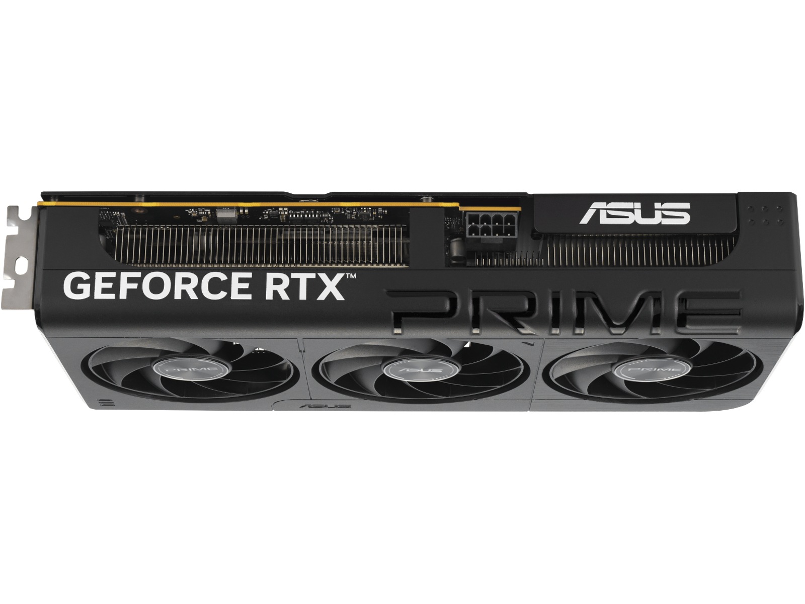 Asus Prime GeForce RTX 5060 Grafikkort