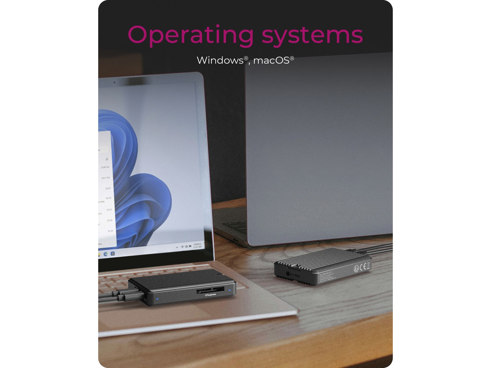 ICY BOX M.2 SSD Enclosure Eksterne Kabinetter