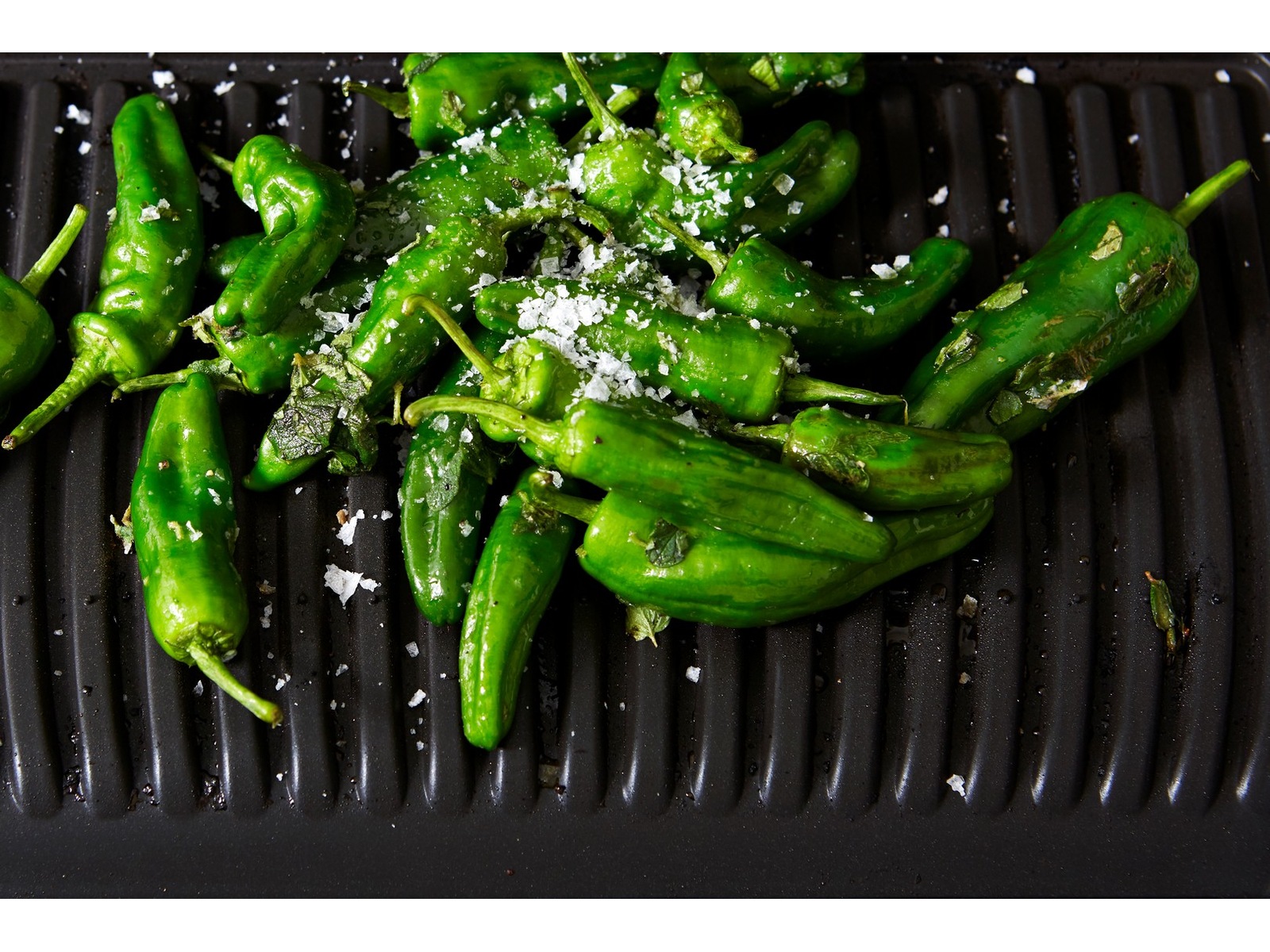 OBH Nordica Optigrill+ XL Andet køkkenudstyr