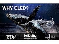 LG 55" G5 AI 4K OLED Smart TV (2025) + Soundbar 50 - 59 tommer TV