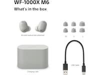 Sony WF-1000XM6 trådløse øretelefoner med støjdæmpning (Platinum Silver) In-ear høretelefoner